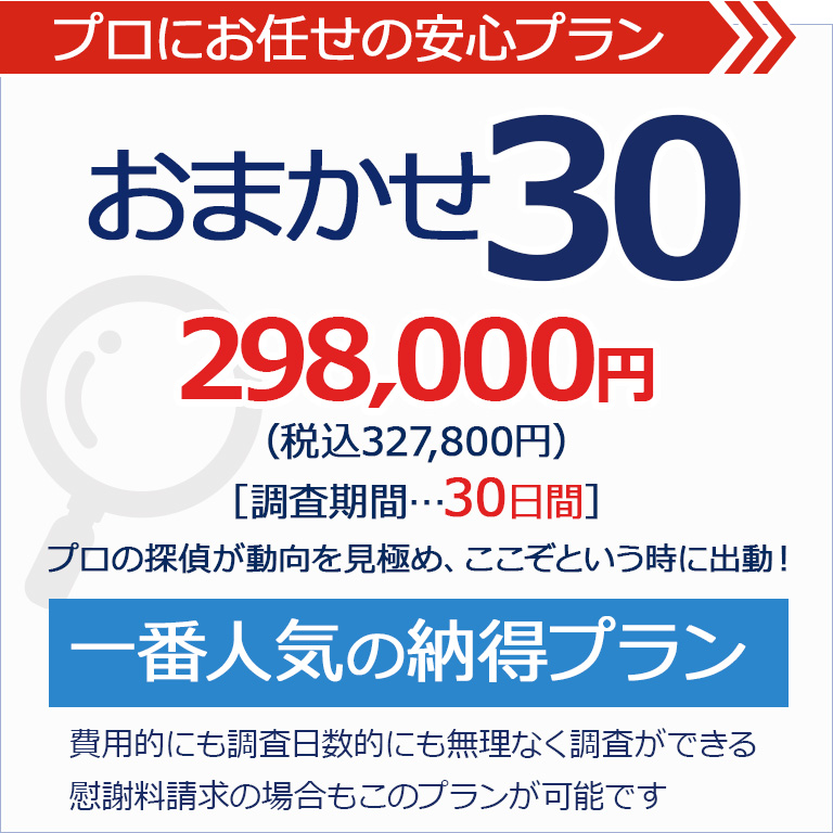 おまかせパック30