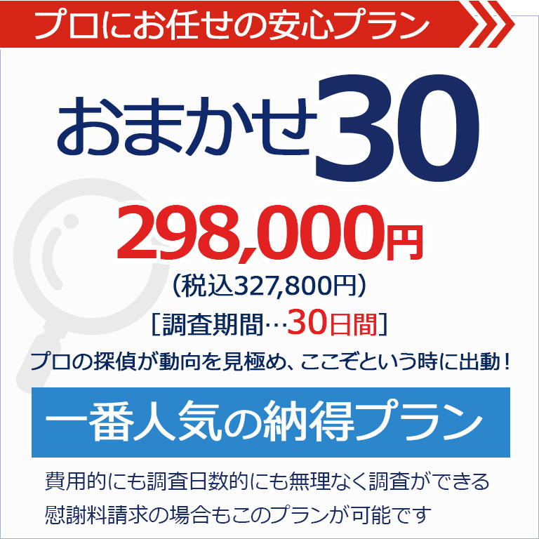 おまかせパック30