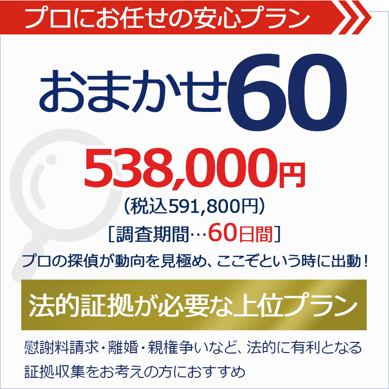 おまかせパック60